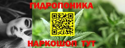 2c-b Будённовск