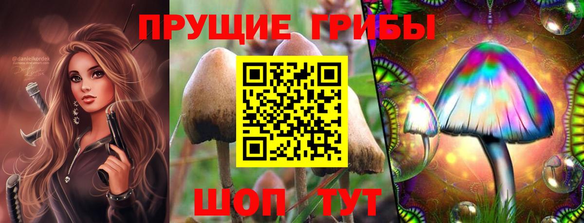 Галлюциногенные грибы MAGIC MUSHROOMS  Вход с VPN  Нефтекумск 