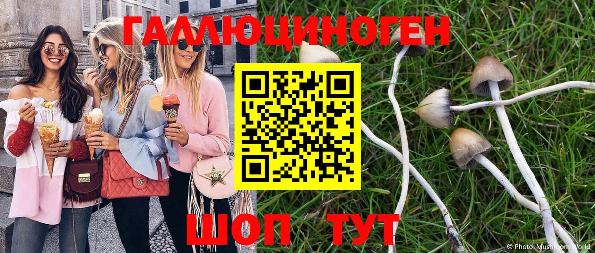 Псилоцибиновые грибы Cubensis Нефтекумск